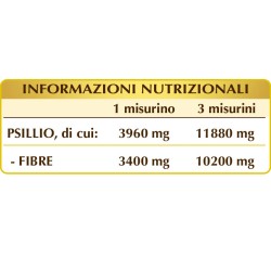 PSILLIO 100 g polvere - Dr. Giorgini