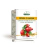 ROSA CANINA ESTRATTO TITOLATO 100 g polvere - Dr. Giorgini