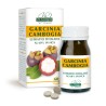 GARCINIA CAMBOGIA ESTRATTO TITOLATO 60 pastiglie (30 g) - Dr. Giorgini